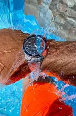 Seamaster pisci.webp