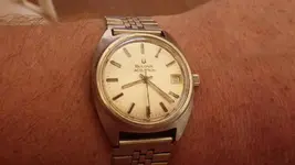 IMGP3221.webp
