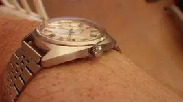 IMGP3220.webp