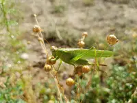 20200821_161848.webp