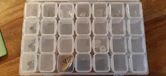 20200821_200058.webp 20200821_200058.webp