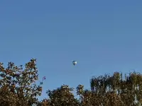 20200821_192119.webp