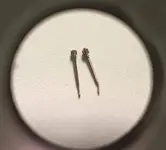 20200821_212406.webp 20200821_212406.webp