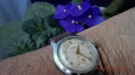 IMG_20200819_132731_wm.webp IMG_20200819_132731_wm.webp