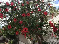 4D52B99E-97C4-45D7-9714-B44204019943.webp