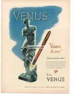 venus ad.webp