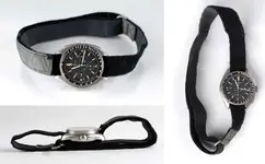 David-Scotts-Bulova.webp