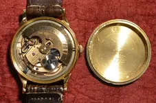 OMEGA14.webp OMEGA14.webp