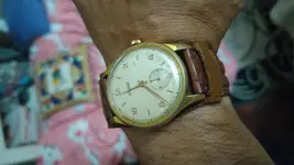 20200813_233829.webp