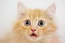 no me asustes.webp
