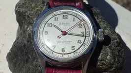 IMGP3222.webp