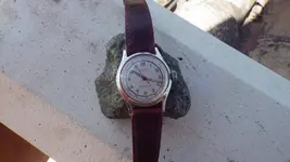 IMGP3227.webp