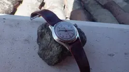 IMGP3230.webp