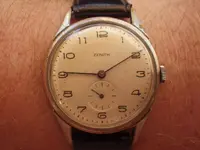 IMGP3657.webp
