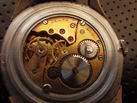 IMGP3652.webp