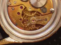 IMGP3654.webp