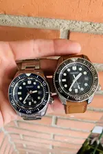 fullsizeoutput_2285.webp