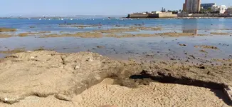mhSV9wvxAdwh0H0Bv4piC029tEgm1DDie7esAg8tpYswopqUxVL1yYugPykS6C3MjXE7ytCpVfKpJYtImtxLWzg4Xd-k-...webp
