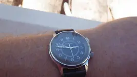 IMGP3533.webp