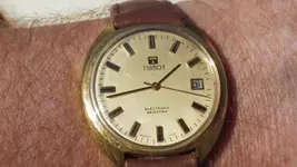 IMGP3525.webp