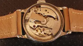 IMGP3554.webp