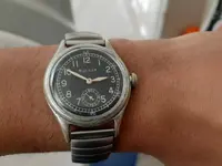 15985329887361483044120544197160.webp