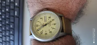 seiko5arena.webp