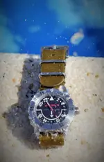 P1080718 (3).webp