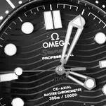 Omega Seamaster.webp