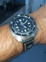 15990593791465034883272019537928.webp