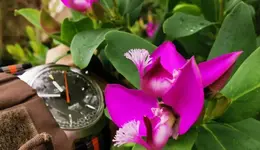 IMG_20200926_193311.webp