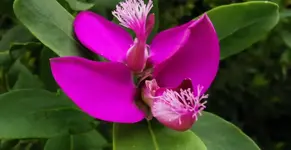 IMG_20200926_193223.webp
