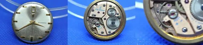 pano Festina.webp