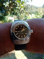 attachment.webp