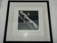 PARKER Snake Limited Edition Print No. 027-400 signed A. Daniel Norman 32.5x32.5 1.jpg