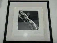 PARKER Snake Limited Edition Print No. 027-400 signed A. Daniel Norman 32.5x32.5 1.webp