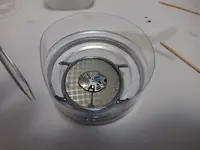 Movimiento reloj sumergido aceite.webp
