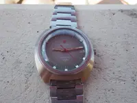 IMGP3614.webp