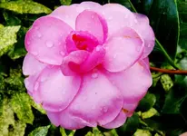 IMG_20201003_101747.webp