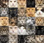 28501EBA-C181-4B58-8BB2-516D59118E53.webp