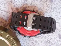 DSCN1170.webp