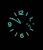 Pam 796 w (4).webp