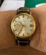 omega cuero.webp