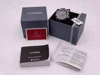 citizen ecodrive titanium 0730.webp