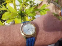 IMGP3777.webp