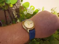 IMGP3778.webp