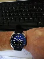 16034538742132920320141854690202.webp