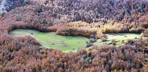 Otoño.webp