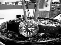 20201017_100813.webp