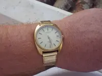 IMGP3815.webp
